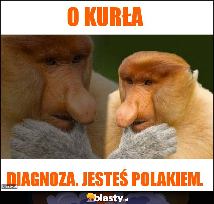 O kurła
