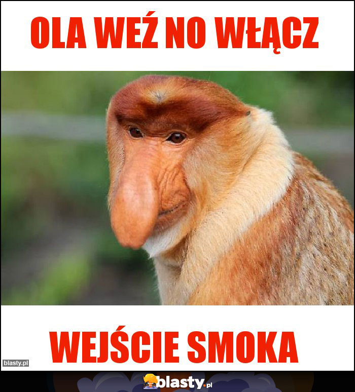 Ola weź no włącz