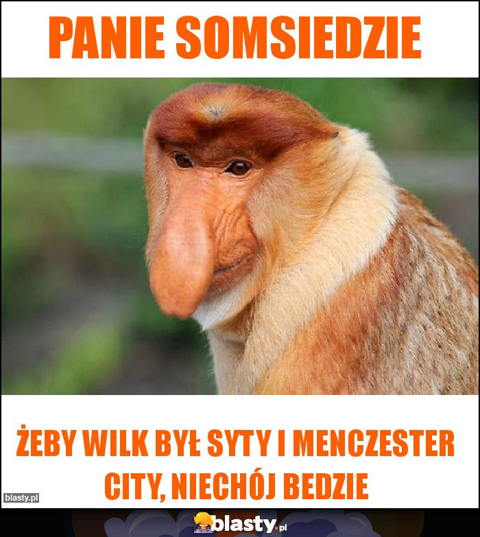 Panie Somsiedzie
