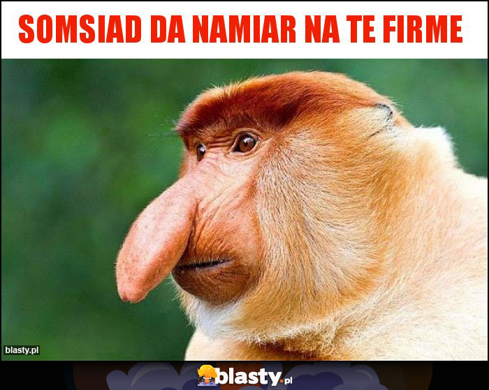 Somsiad da namiar na te firme