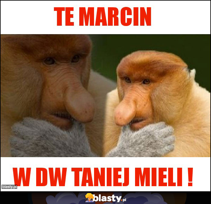 Te Marcin