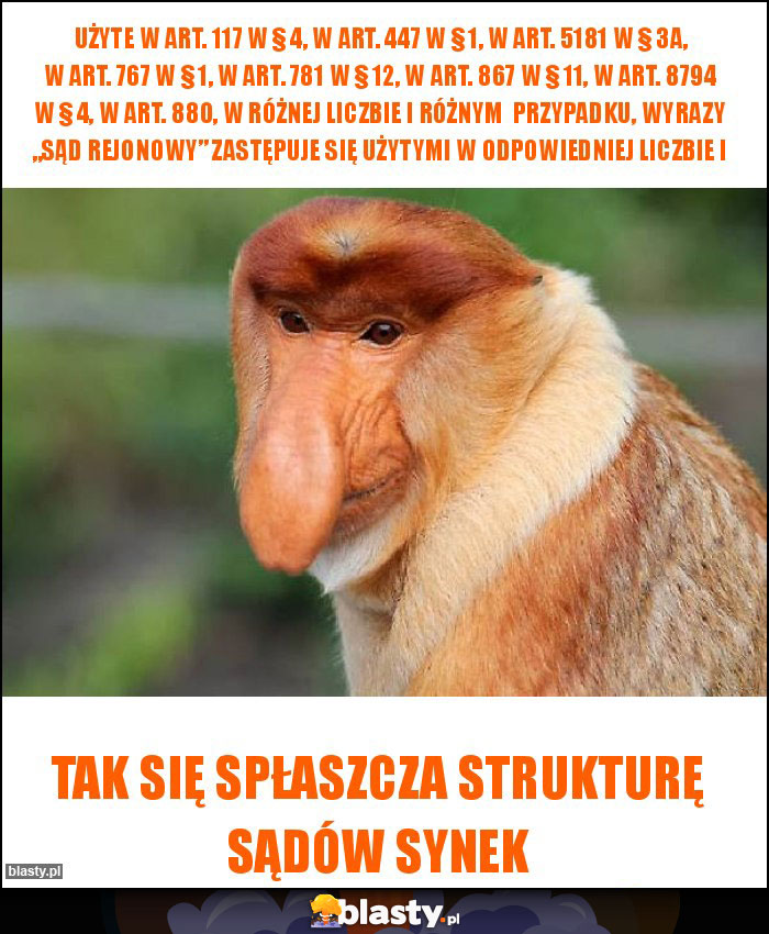 użyte w art. 117 w § 4, w art. 447 w § 1, w art. 5181 w § 3a, w art. 767 w § 1, w art. 781 w § 12, w art. 867 w § 11, w art. 8794 w § 4, w art. 880, w różnej liczbie i różnym  przypadku, wyrazy „sąd rejonowy” zastępuje się użytymi w odpowiedniej liczbie i