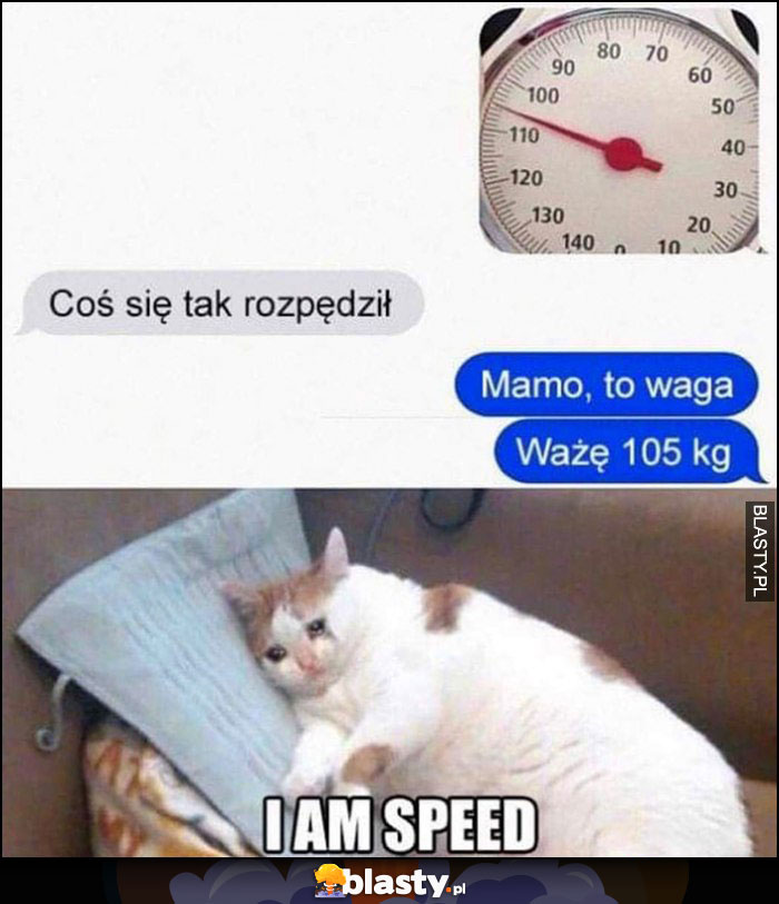 Coś się tak rozpędził, mamo to waga, ważę 105 kg kot jestem szybkością prędkością