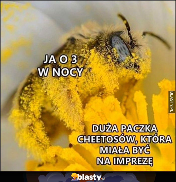 Ja o 3 w nocy vs duża paczka Cheetosów, która miała być na imprezę