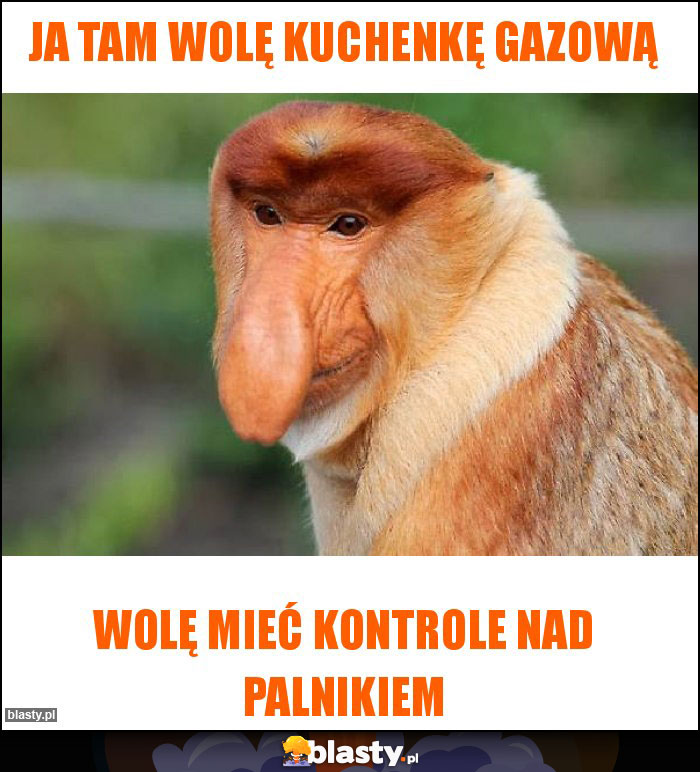 Ja tam wolę kuchenkę gazową