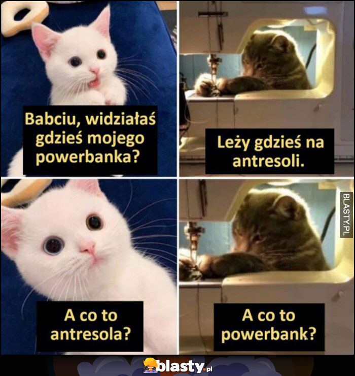 Kot: babciu widziałas mojego powerbanka? Leży gdzieś na antresoli, co to antresola? Co to powerbank?
