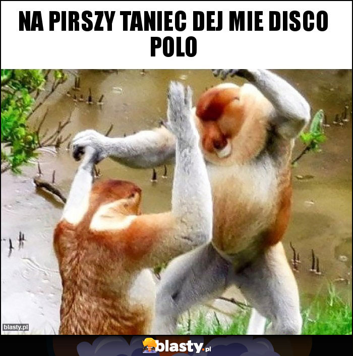 Na pirszy taniec dej mie disco polo