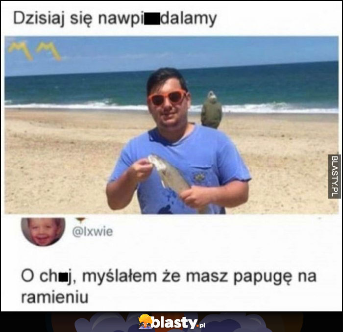 O kurde, myślałem, że masz papugę na ramieniu zdjęcie na plaży