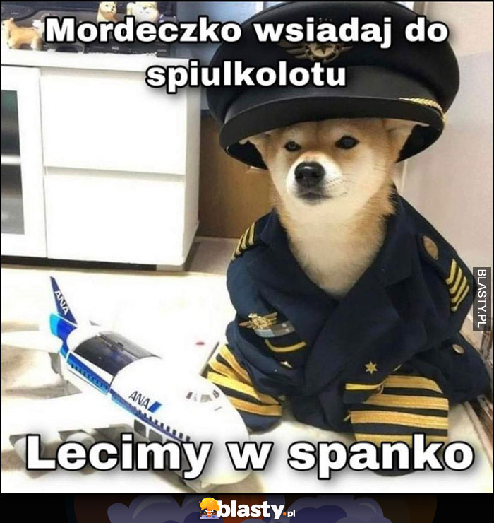 Pies pieseł mordeczko wsiadaj do śpiulkolotu, lecimy w spanko