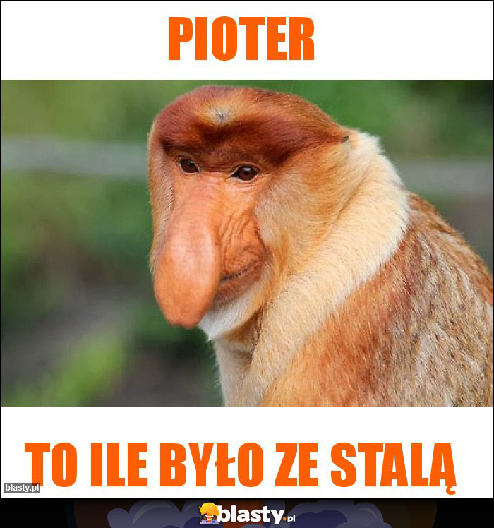 Pioter