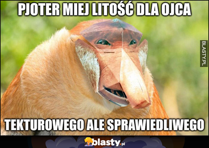 Pjoter miej litość dla ojca, tekturowego ale sprawiedliwego małpa Polak nosacz