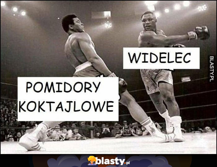 Pomidory koktajlowe vs widelec unik w boksie