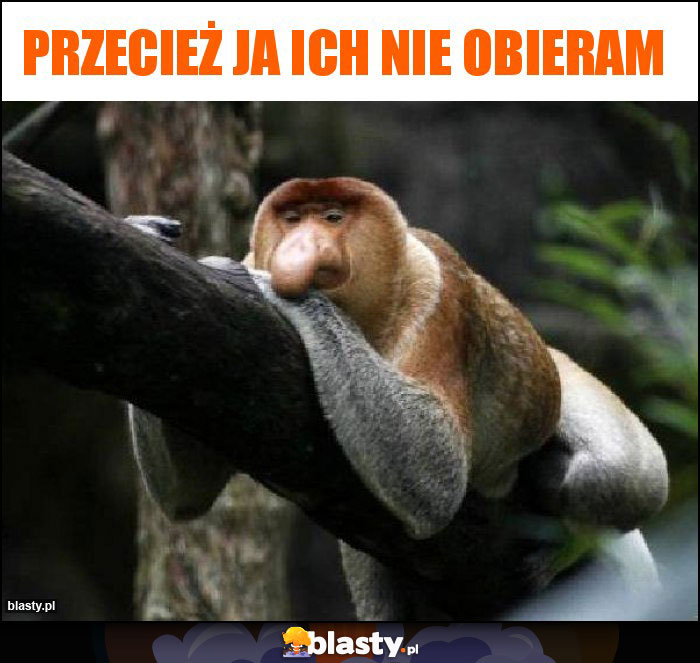 Przecież ja ich nie obieram