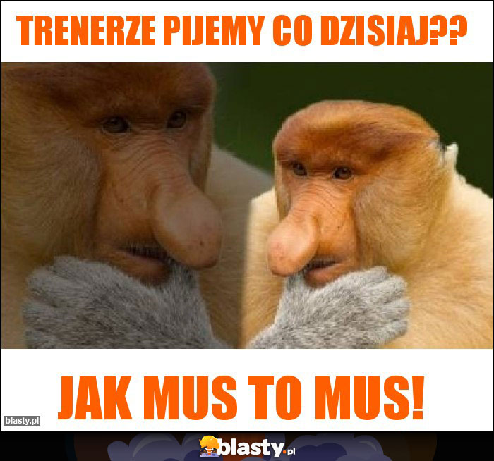 Trenerze pijemy co dzisiaj??