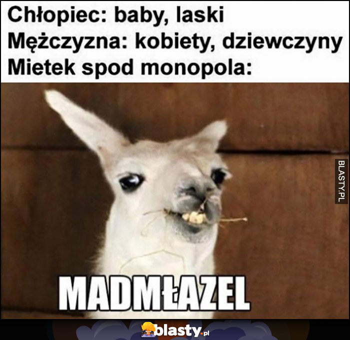 Chłopiec: baby, laski. Mężczyzna: kobiety, dziewczyny. Mietek spod monopola: madmłazel