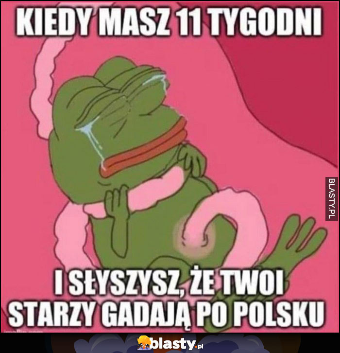 Kiedy masz 11 tygodni i słyszysz że twoi starzy gadają po polsku smutna żaba pepe