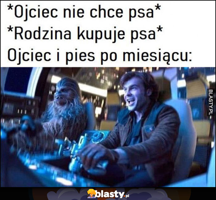 Ojciec: nie chce psa, rodzina: kupuje psa, ojciec i pies po miesiącu Chewbacca Han Solo