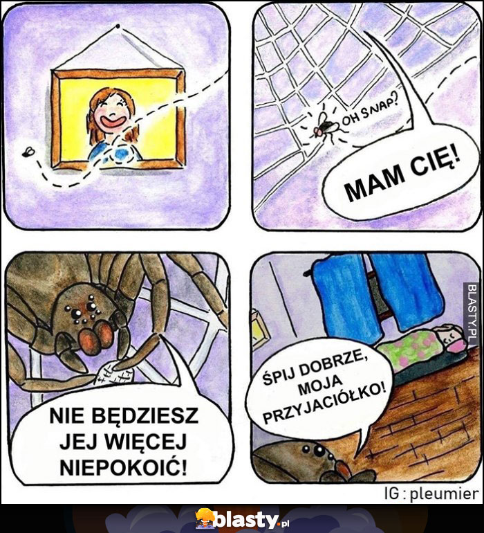 Pająk łapie muchę, mam cię, nie będziesz jej więcej niepokoić komiks