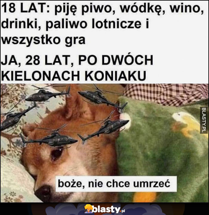 18 lat: piję i wszystko gra, vs ja 28 lat po dwóch kielonach koniaku: boże nie chcę umrzeć pies pieseł doge