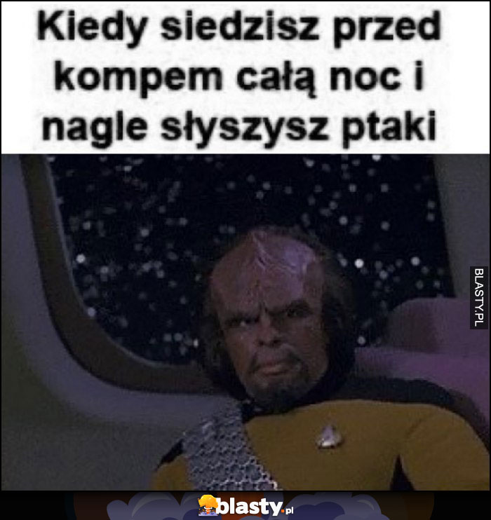 Kiedy siedzisz przed kompem cała noc i nagle słyszysz ptaki Star Trek