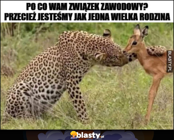 Po co wam związek zawodowy? Przecież jesteśmy jak jedna wielka rodzina gepard do sarny sarenki