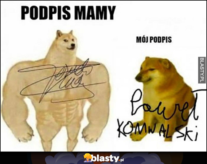 Podpis mamy vs mój podpis pies pieseł doge cheems porównanie