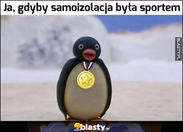 Ja, gdyby samoizolacja była sportem pingwin pingwinek z medalem