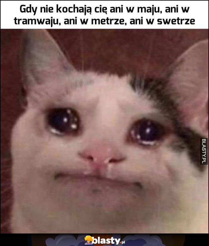 Kot płacze gdy nie kochają cię ani w maju, ani w tramwaju, ani w metrze, ani w swetrze