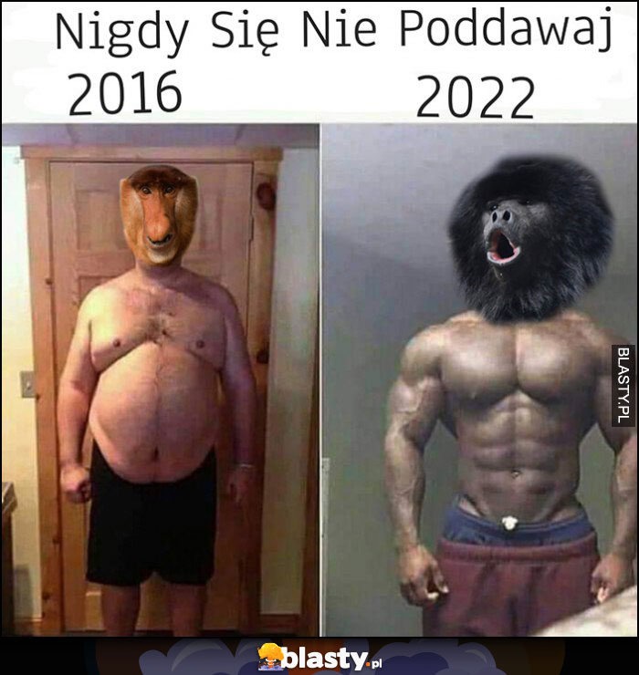 Nigdy się nie poddawaj 2016 gruby nosacz vs 2022 przypakowana małpa