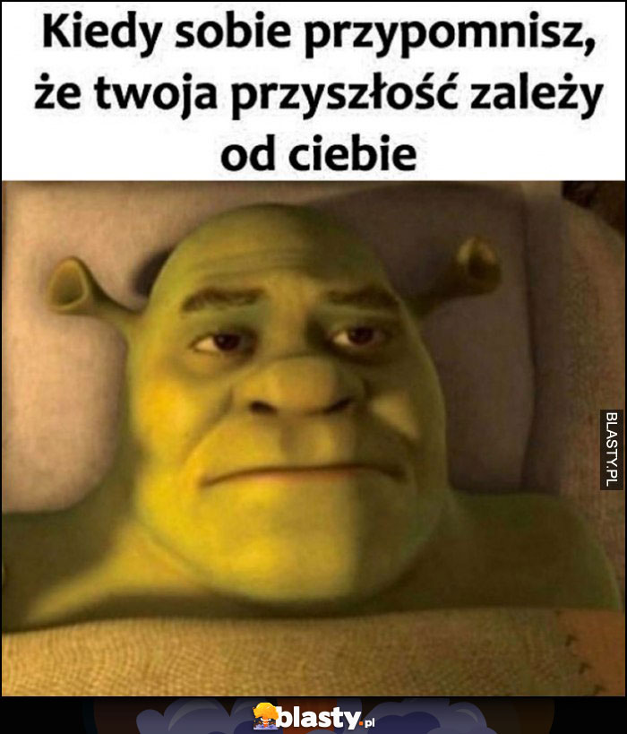 Shrek kiedy sobie przypominsz, że Twoja przyszłość zależy od Ciebie