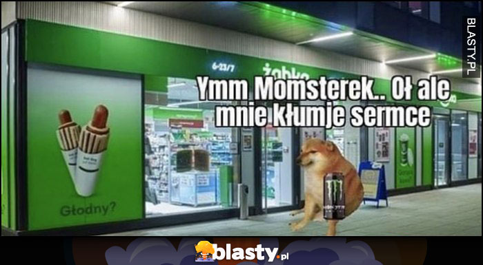 Ymm monsterek, oł ale mnie serce kłuje pies pieseł doge cheems