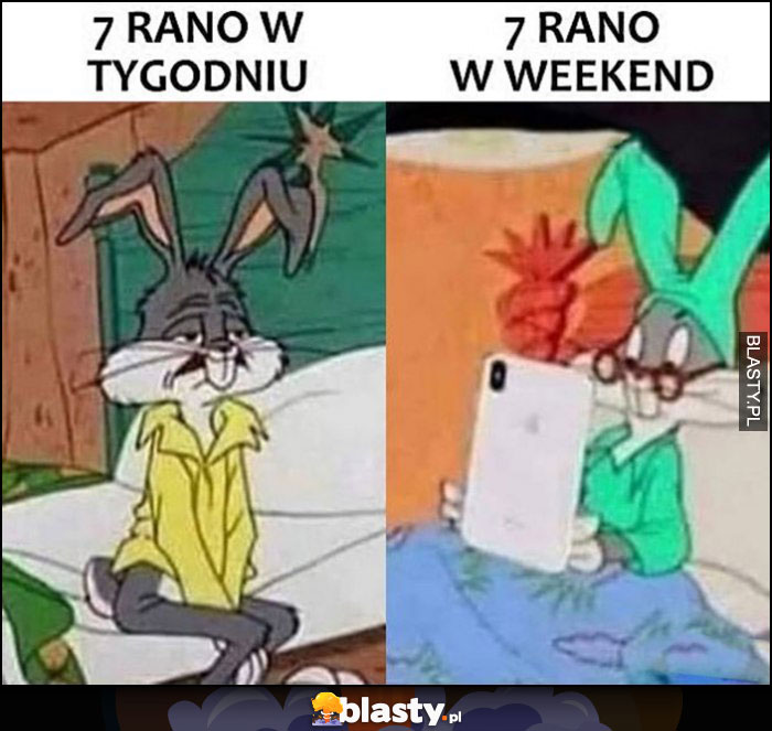 7 rano w tygodniu vs 7 rano w weekend Królik Bugs porównanie