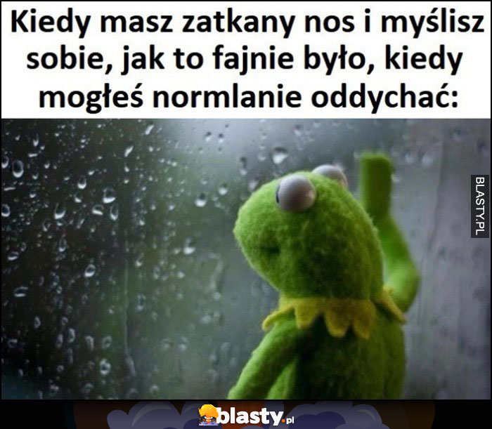 Kiedy masz zatkany nos i myślisz sobie jak to fajnie było, kiedy mogłes normalnie oddychać Kremit