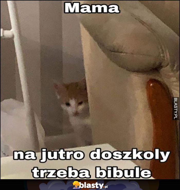 Mama na jutro do szkoły trzeba bibułę kot kotek