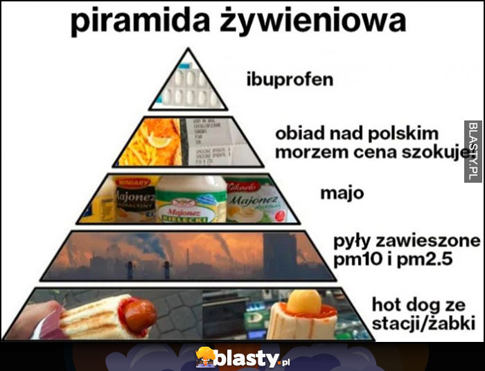 Piramida żywieniowa: ibuprofen, obiad nad polskim morzem, majo, pyły zawieszone pm10 pm2.5, hot dog ze stacji lub żabki