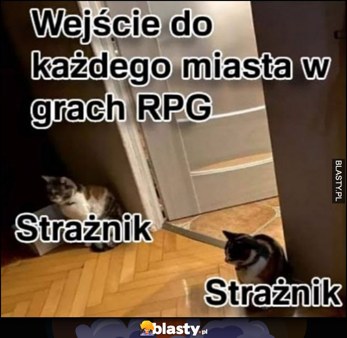 Wejście do kązdego miasta w grach RPG koty dwóch strażników