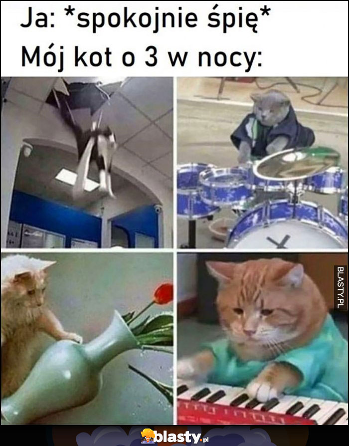 Ja spokojnie śpię vs mój kot o 3 w nocy hałasuje