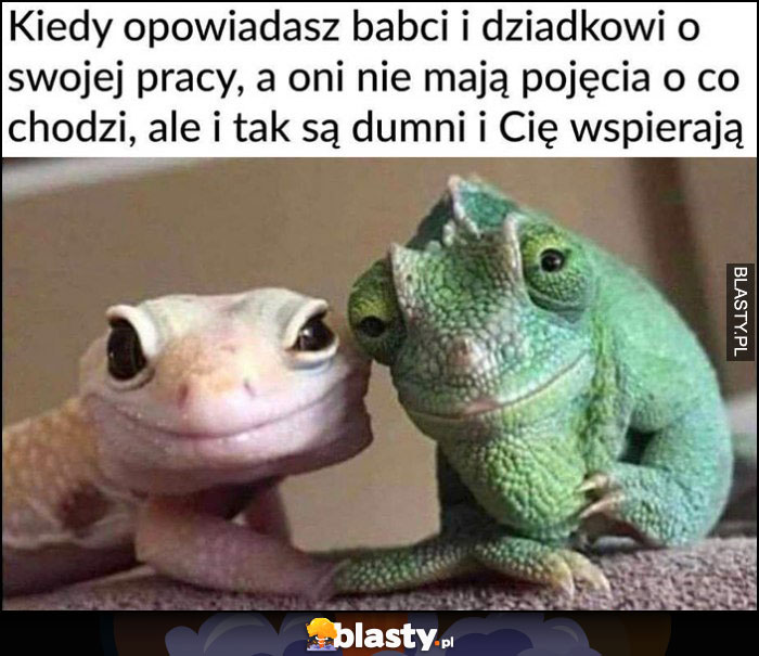 Kiedy opowiadasz babci i dziadkowi o swojej pracy, a oni nie mają pojęcia o co chodzi, ale i tak są dumni i Cię wspierają kameleon