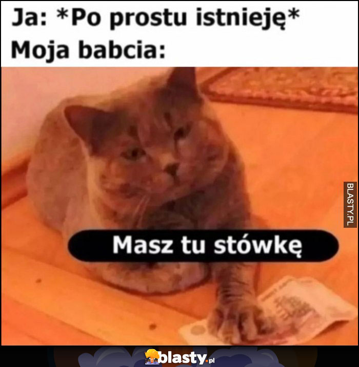 Kot ja: po prostu istnieję, moja babcia: masz tu stówkę