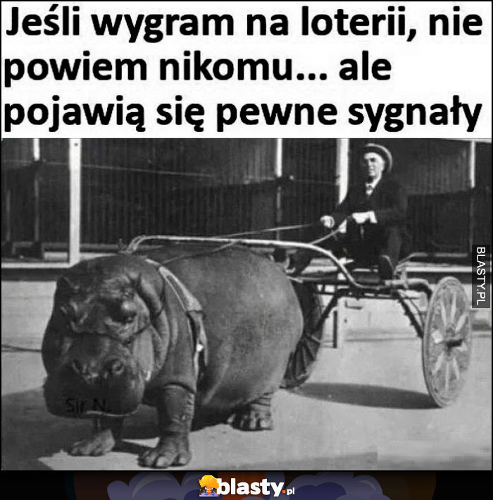 Jeśli wygram na loterii nie powiem nikomu, ale będą pewne sygnały hipopotam powóz kareta