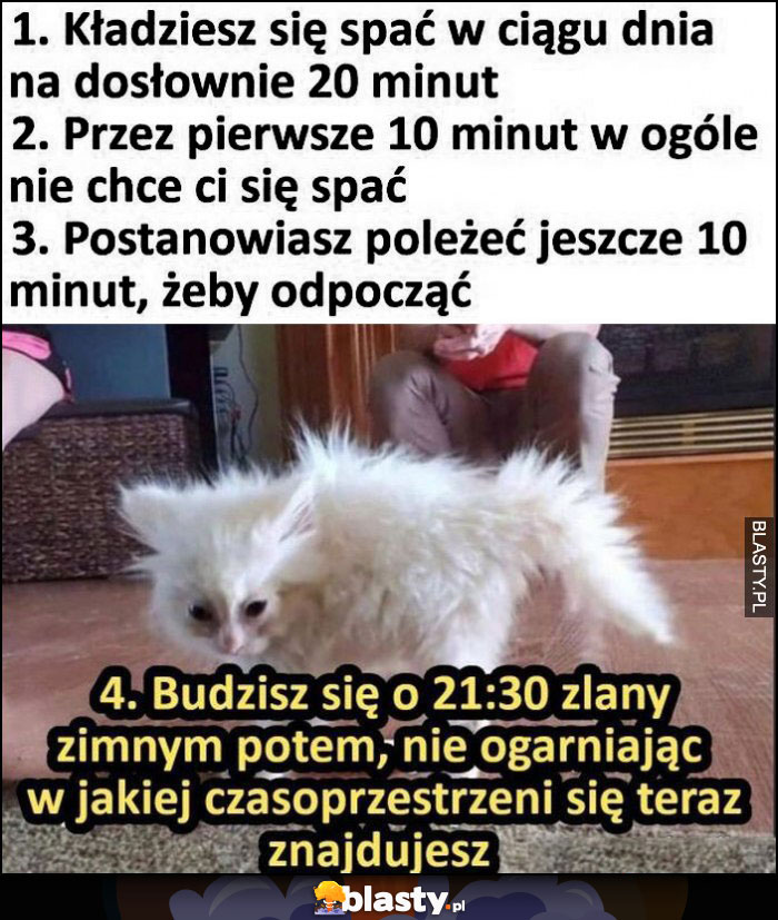 Kot kładziesz sie na 20 minut spać w dzień, pierwsze 10 minut nie chce ci się spać, potem budzisz się o 21:30 nie ogarniając gdzie się znajdujesz