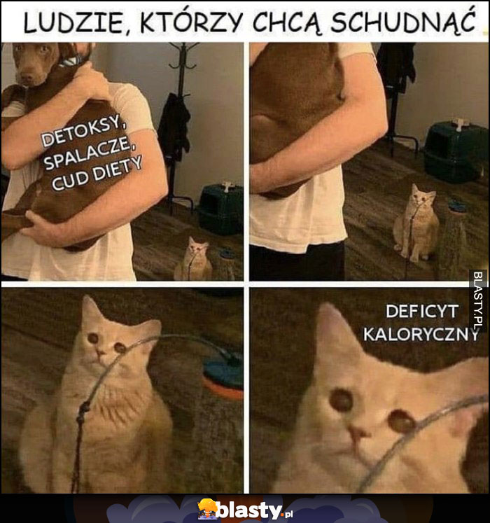 Ludzie, którzy chcą schudnąć: detoksy, spalacze, cud diety vs deficyt kaloryczny kotek płacze