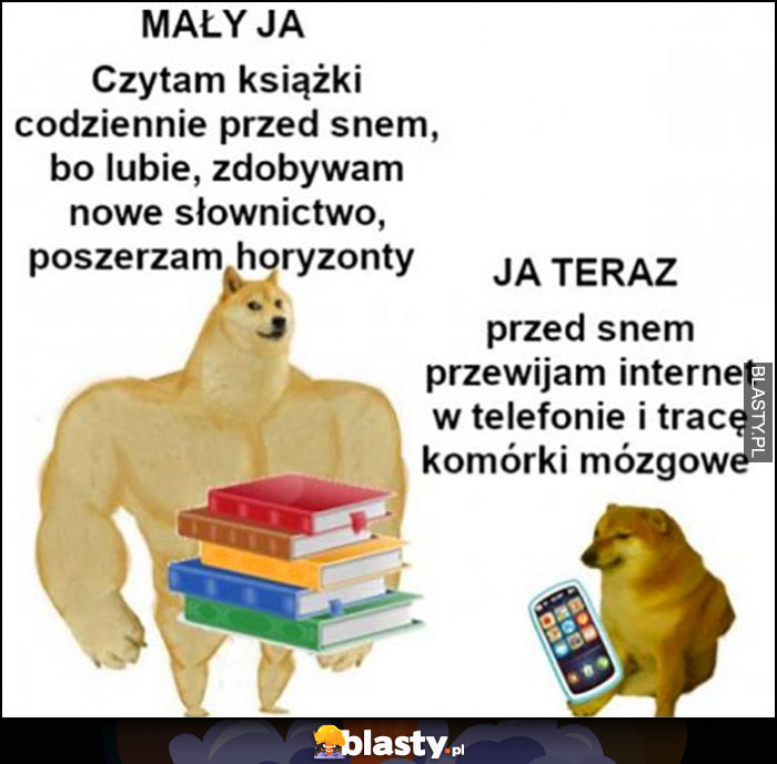 Mały ja: czytam codziennie, poszerzam horyzonty vs ja teraz: przed snem przewijam internet w telefonie i tracę komórki mózgowe pies pieseł doge cheems