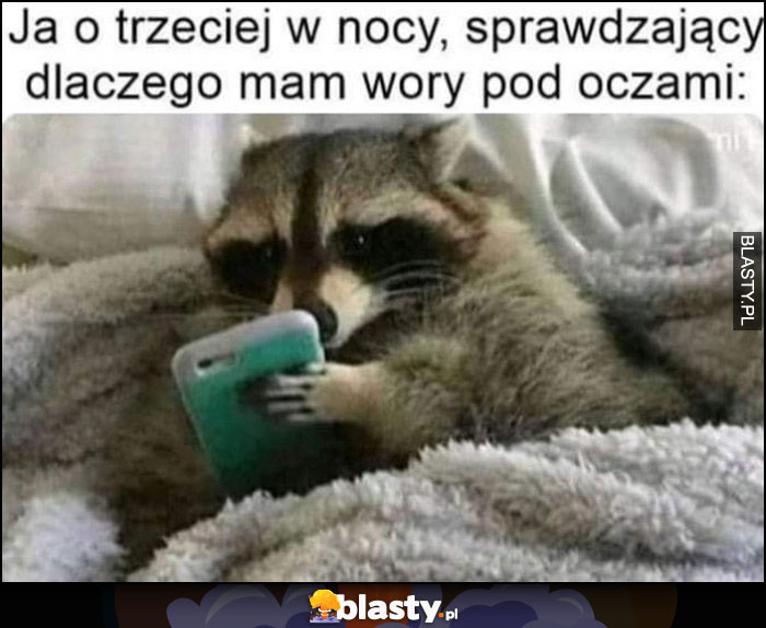 Szop pracz ja o trzeciej w nocy sprawdzający na telefonie dlaczego mam wory pod oczami