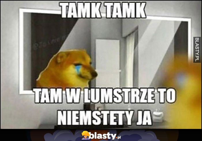 Tak tak tam w lustrze to niestety ja pies pieseł doge cheems