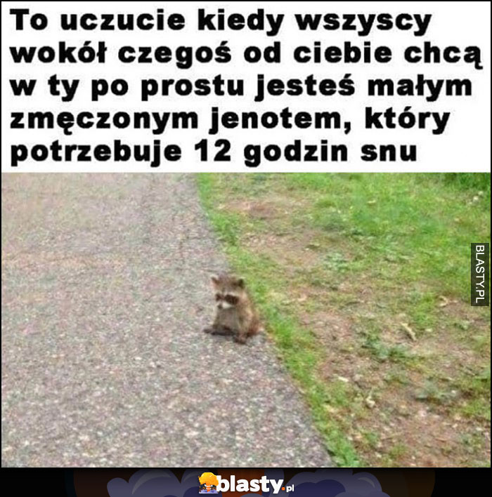 To uczucie kiedy wszyscy czegoś od ciebie chcą, a ty po prostu jesteś małym zmęczonym jenotem, który potrzebuje 12 godzin snu