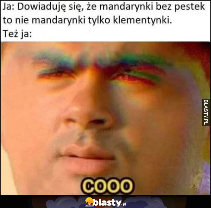 Ja: Dowiaduję się, że mandarynki bez pestek to nie mandarynki tylko klementynki, też ja: cooo