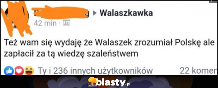 Też wam się wydaje, że Walaszek zrozumiał Polskę, ale zapłacił za tę wiedzę szaleństwem?
