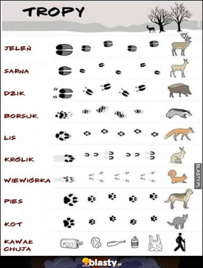 Tropy zwierząt vs trop człowieka kawał chama śmieci ślady