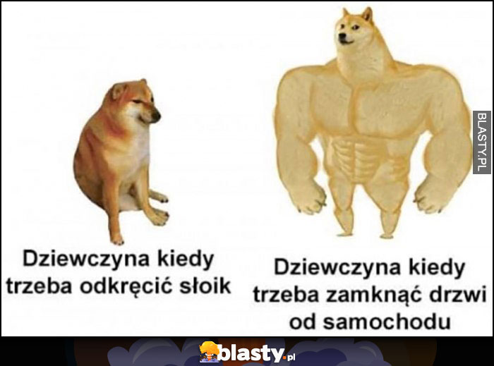 Dziewczyna kiedy trzeba odkręcić słoik vs kiedy trzeba zamknąć drzwi do samochodu pies pieseł doge cheems